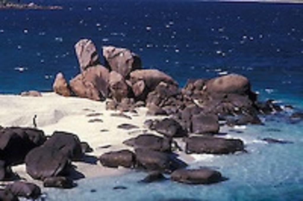 Zimbay Guest House Arugam Bay Eksteriør billede