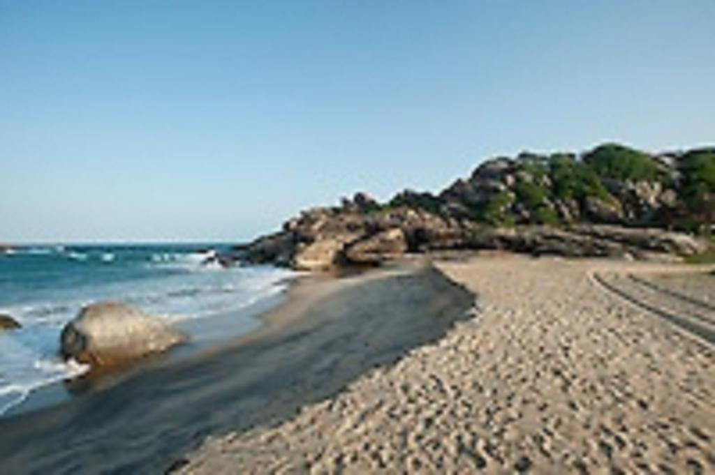 Zimbay Guest House Arugam Bay Eksteriør billede